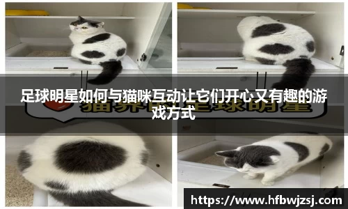 南宫28NG相信品牌力量